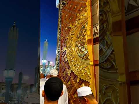 Masjid Nabawi Madinah Al-Munawwarah 15 Oct 2024 #meccatour #birds #foryou #makka #performumrah #100